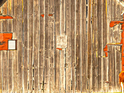 Bonus image for 3/8. Barn wood, the best part of a barn. (in my opinion)