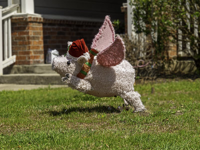 When pigs fly.(3/31)