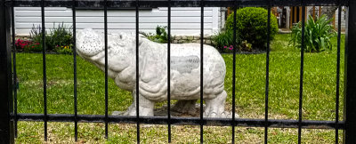 Jailbird Hippo