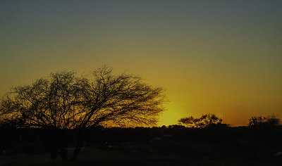 Serengeti  Sunset? (5/6)
