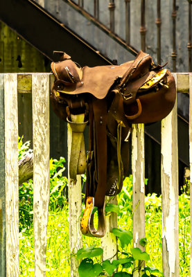 Saddle on a fence  (5/30)