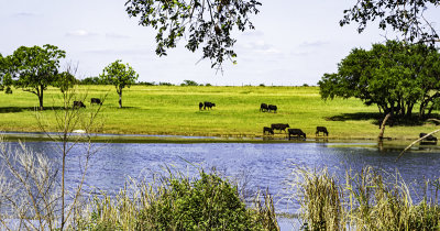 A pastoral Texas landscape. (6/10)