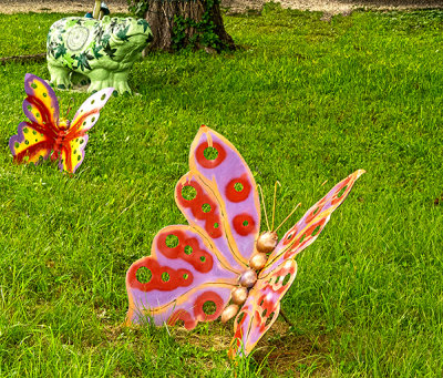 Butterflys and a Hippo  (7/8)