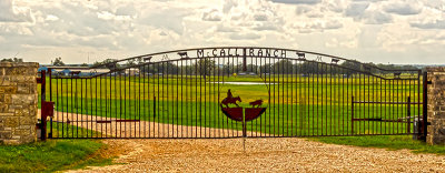 In cattle country  North of Bastrop