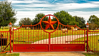 Texas Gates