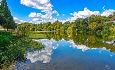 Brushy Creek is adjacent to the park. A favorite fishing spot for many..