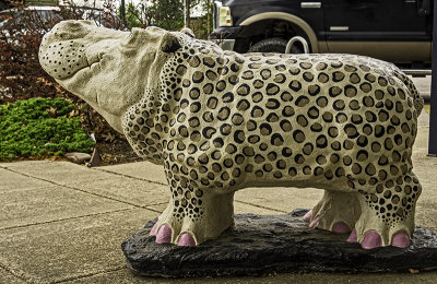 Hippo in a leopard skin coat with pink toenails