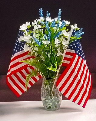 Independence Day display (7/5/22)