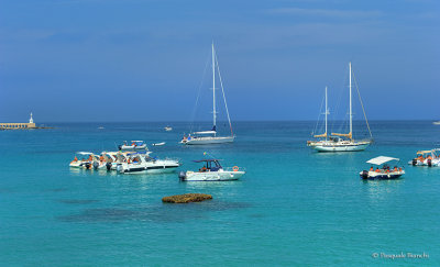g12/15/1154415/3/169758428.2s47i1Rz.jpg