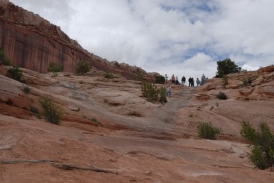 DSC_2869.JPG