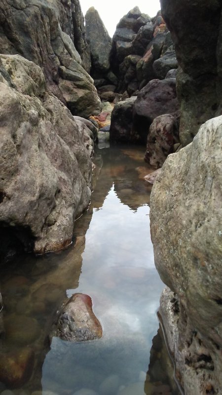 Gower Coast Rockpool