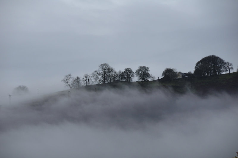 Autumn Mist