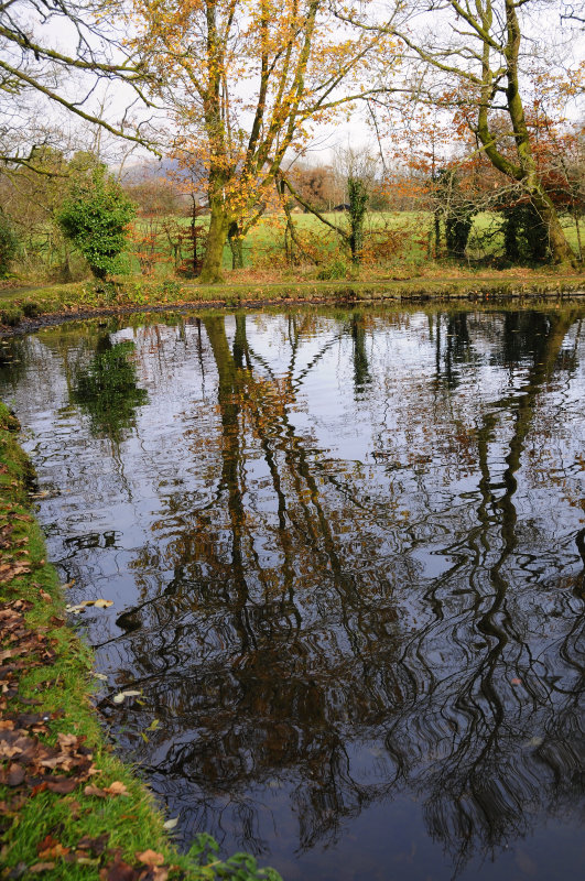 Craig-y-Nos Reflections