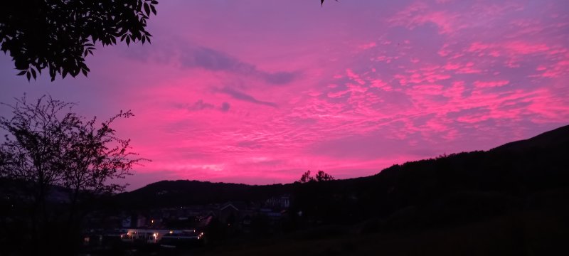 20210702_214523.jpg