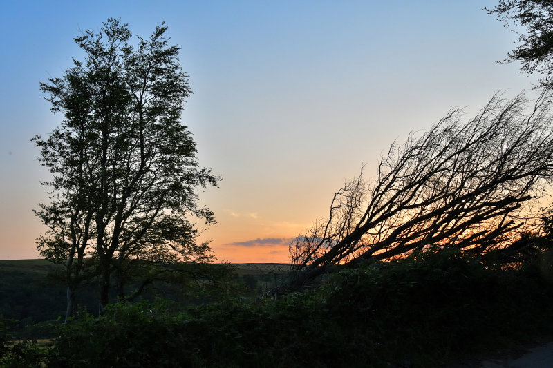 DSC_0094.JPG