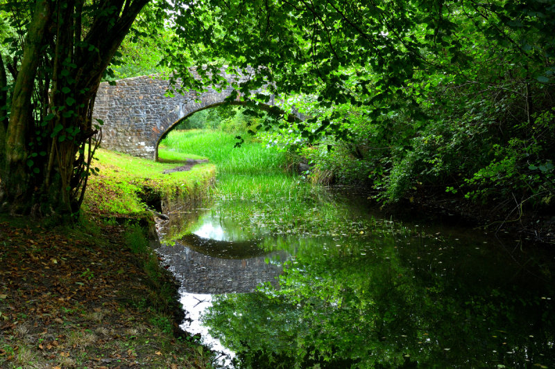 Neath Canal at Rheola.