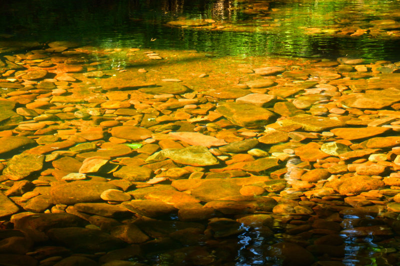 River bed of the River Taff Fawr.
