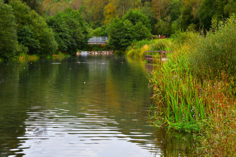 Autumn colours beginning to appear. September 2021.