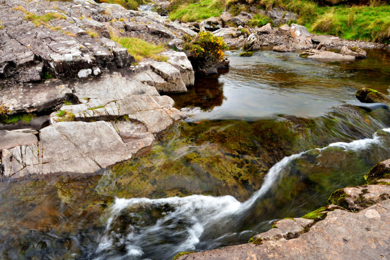 DSC_1343_01.JPG