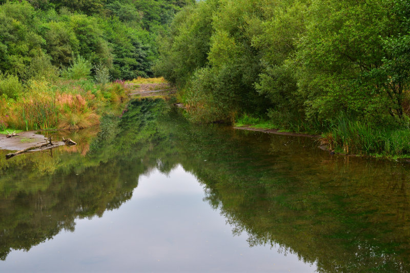 River above the weir, September 2021.