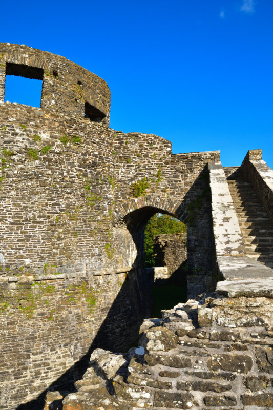 DSC_1585_01.JPG