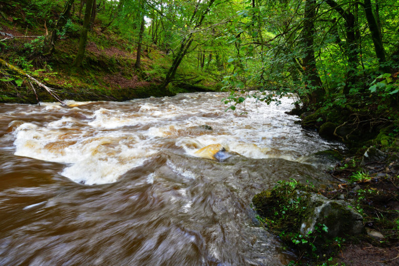 Looking down stream.