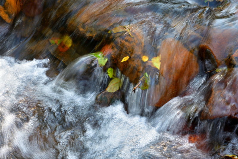 River Dare below the leat. Autumn.