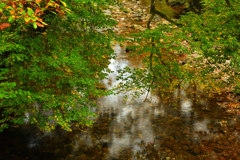 View downstream from the bridge.