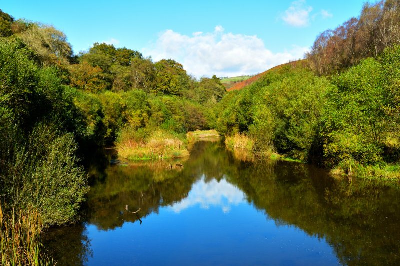 Reflections, 21 October. Its all downhill from here.
