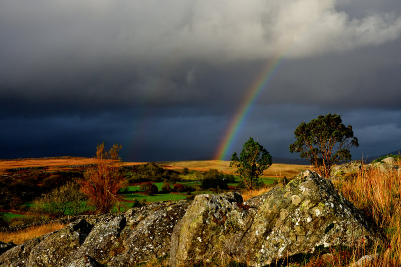 Sunshine and showers.