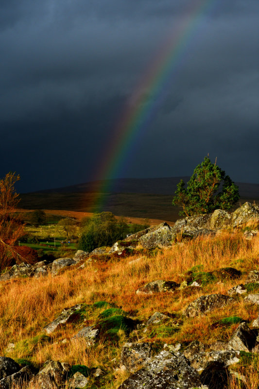 DSC_2547_01.JPG