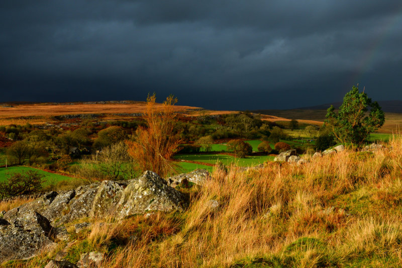 DSC_2551_01.JPG