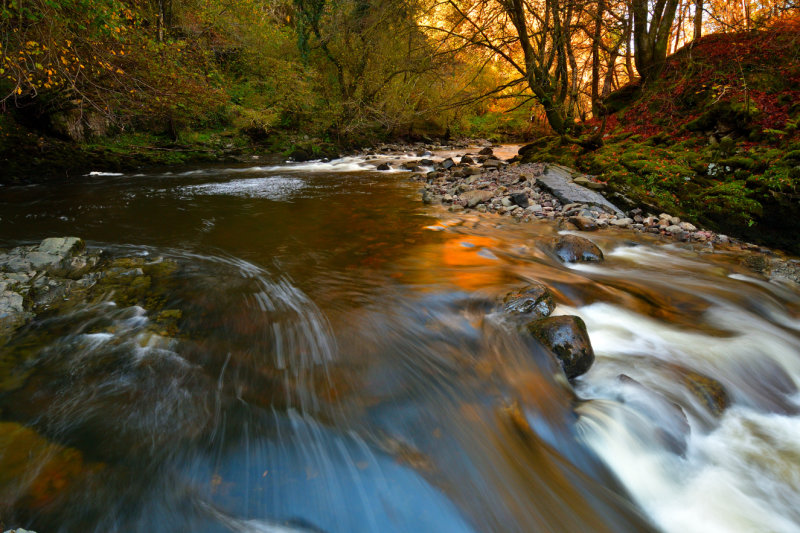 Autumn.