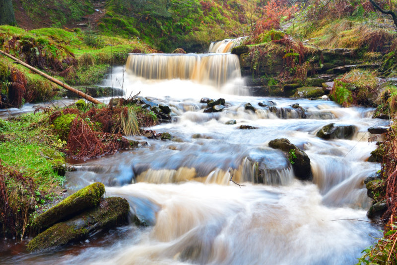 Nant Bwrefwr at Blaen y Glyn.