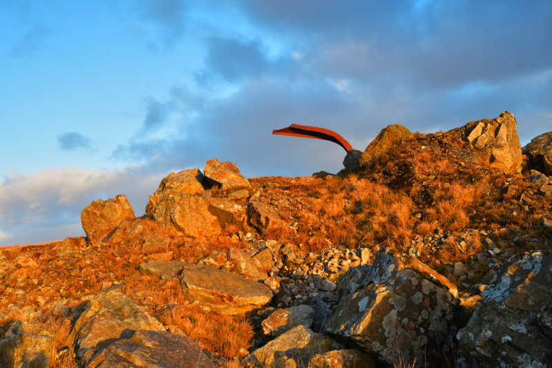 DSC_5430.JPG