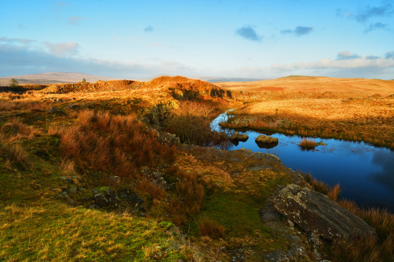 DSC_5417.JPG