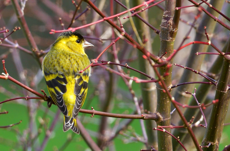 DSC_6644.JPG