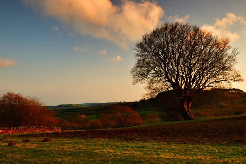 Last of the days rays at Gelli-Wrgan.