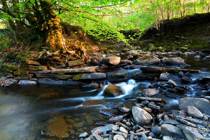 Cwm Clydach.
