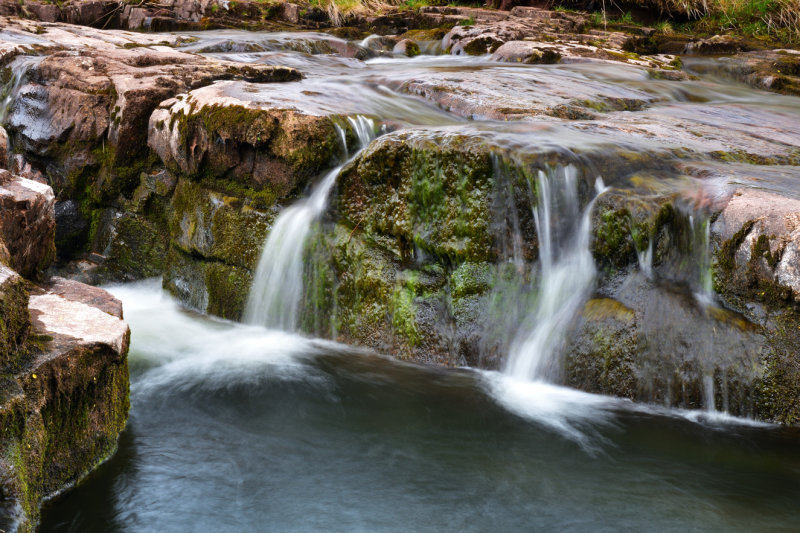 DSC_9599.JPG