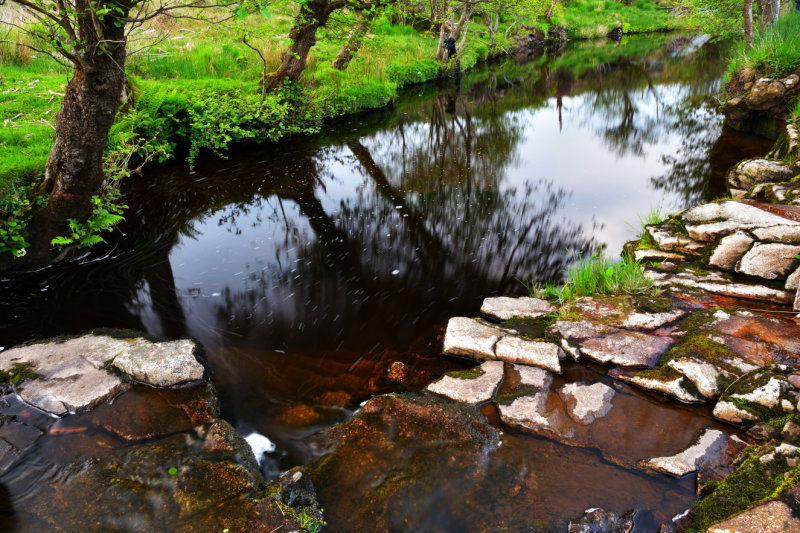 Afon Hepste at Bryn-Cl, Penderyn.