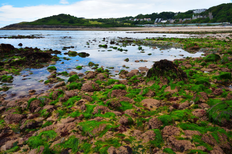 Low tide, Langland Bay, Gower.