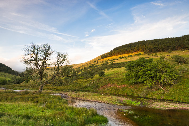 Last light at Nant Crew.