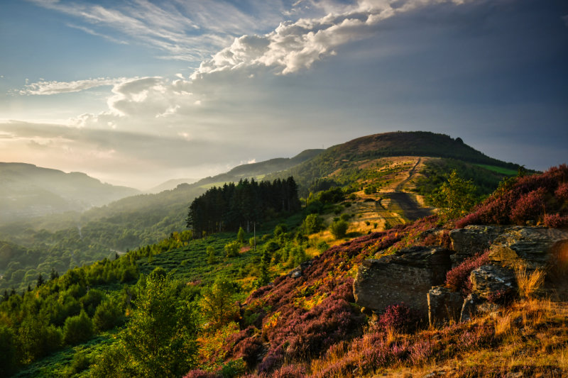 After the storm, Cefn Glas.