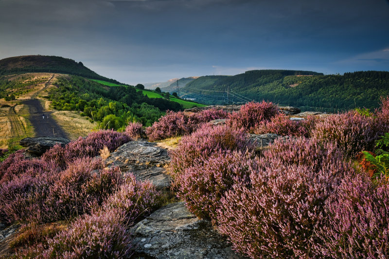 Cefn Glas overlooking the Taff Valley.