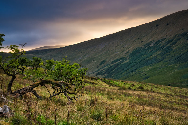 Yr Allt appears through the evening mist.