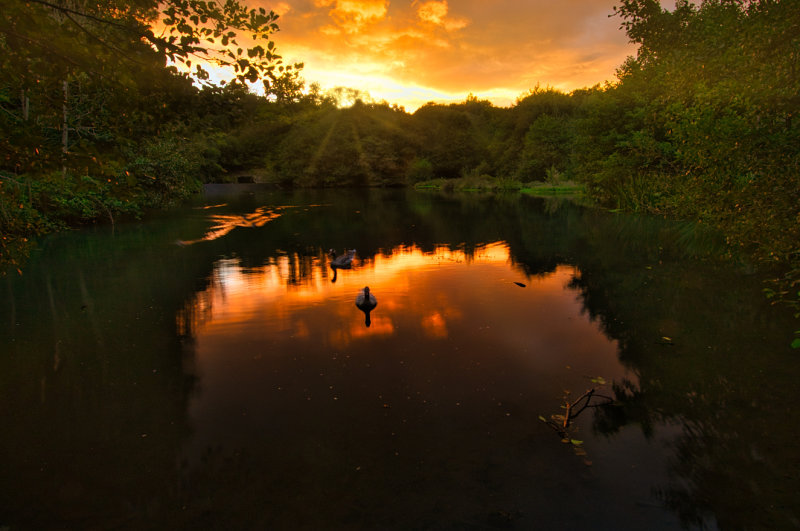 Sunset, Dare Valley Country Park.