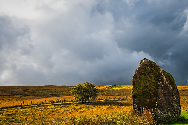Maen Llia with just a Hawthorn tree for company.