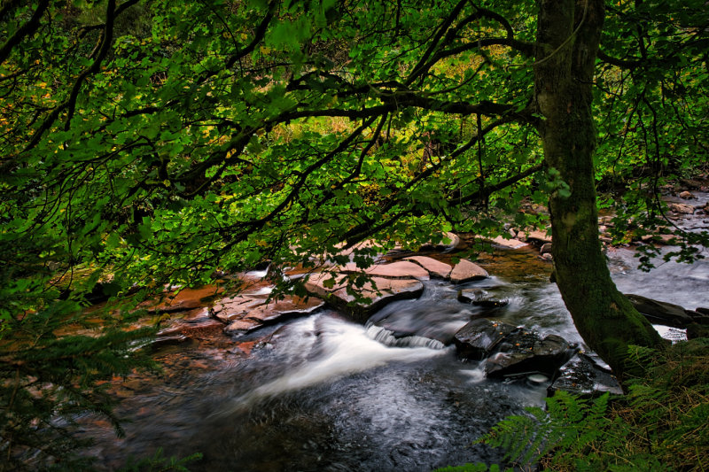 DSC_3699_01.JPG