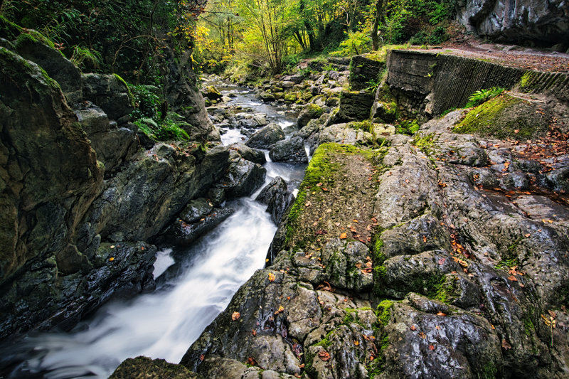 DSC_4467_01.JPG